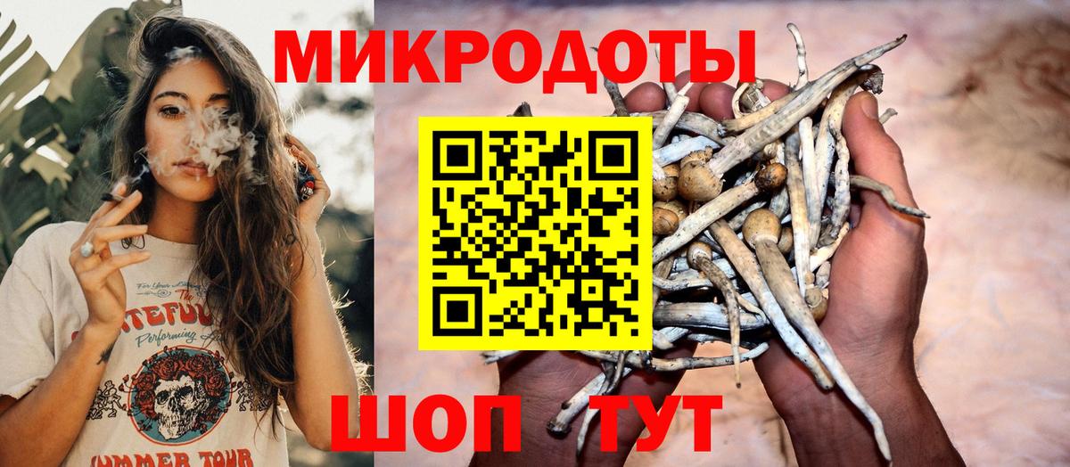 Псилоцибиновые грибы Psilocybine cubensis Щёлково
